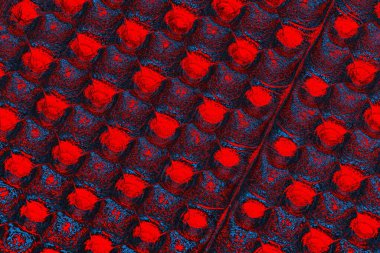 soyut renk dokusu, arkaplan, duvar kağıdını kopyala