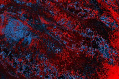 soyut renk dokusu, arkaplan, duvar kağıdını kopyala