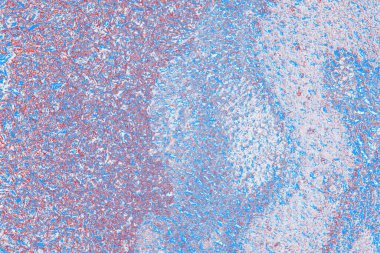 arkaplan olarak soyut renk dokusu, duvar kağıdını kopyala 