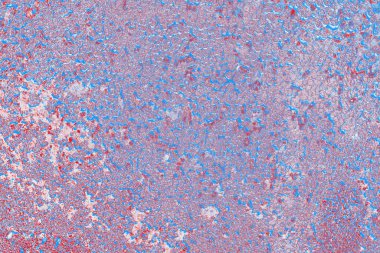 arkaplan olarak soyut renk dokusu, duvar kağıdını kopyala 