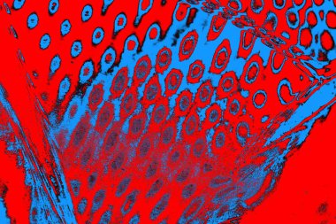 soyut renk dokusu, arkaplan, duvar kağıdını kopyala