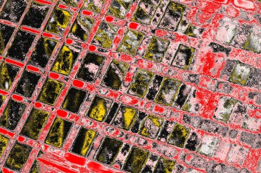 Soyut sanat duvar resmi. Modern, çağdaş sanat geçmişi