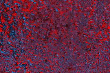 soyut renk dokusu, arkaplan, duvar kağıdını kopyala