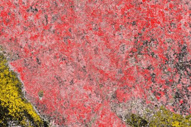 Soyut sanat duvar resmi. Modern, çağdaş sanat geçmişi