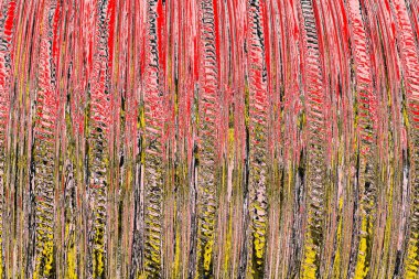 Soyut sanat duvar resmi. Modern, çağdaş sanat geçmişi