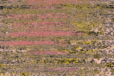 Soyut sanat duvar resmi. Modern, çağdaş sanat geçmişi