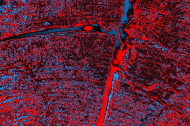 soyut renk dokusu, arkaplan, duvar kağıdını kopyala