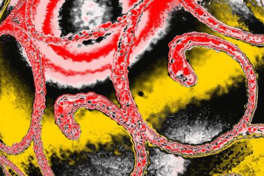 Soyut sanat duvar resmi. Modern, çağdaş sanat geçmişi