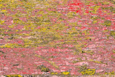 Soyut sanat duvar resmi. Modern, çağdaş sanat geçmişi