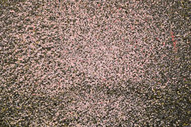 Soyut sanat duvar resmi. Modern, çağdaş sanat geçmişi