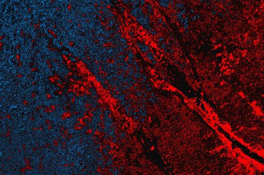 arkaplan olarak soyut renk dokusu, duvar kağıdını kopyala 