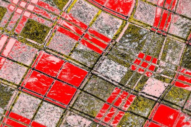 Soyut sanat duvar resmi. Modern, çağdaş sanat geçmişi