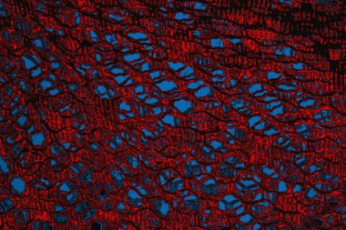 arkaplan olarak soyut renk dokusu, duvar kağıdını kopyala 