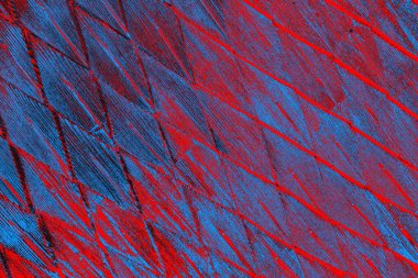 arkaplan olarak soyut renk dokusu, duvar kağıdını kopyala 