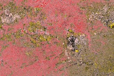 Soyut sanat duvar resmi. Modern, çağdaş sanat geçmişi