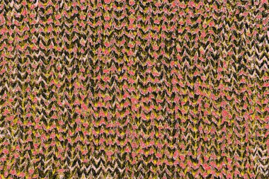 Soyut sanat duvar resmi. Modern, çağdaş sanat geçmişi