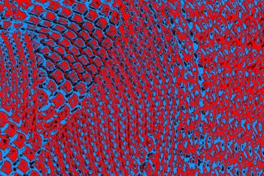 soyut renk dokusu, arkaplan, duvar kağıdını kopyala