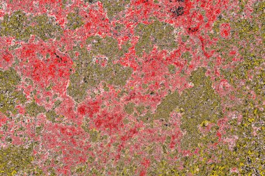 Soyut sanat duvar resmi. Modern, çağdaş sanat geçmişi