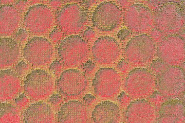 Soyut sanat duvar resmi. Modern, çağdaş sanat geçmişi