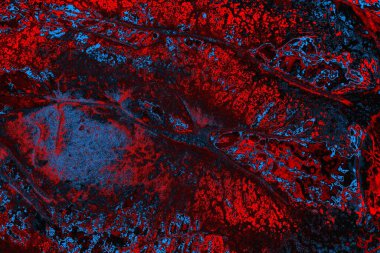 soyut renk dokusu, arkaplan, duvar kağıdını kopyala