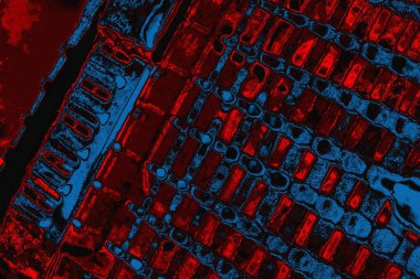 arkaplan olarak soyut renk dokusu, duvar kağıdını kopyala 