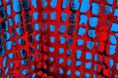 soyut renk dokusu, arkaplan, duvar kağıdını kopyala