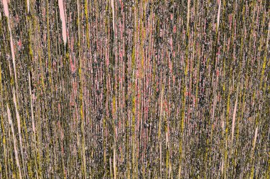 Soyut sanat duvar resmi. Modern, çağdaş sanat geçmişi