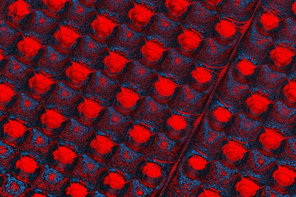 soyut renk dokusu, arkaplan, duvar kağıdını kopyala