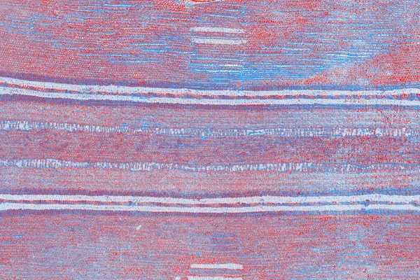 arkaplan olarak soyut renk dokusu, duvar kağıdını kopyala 