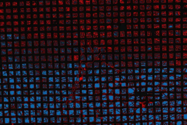 arkaplan olarak soyut renk dokusu, duvar kağıdını kopyala 