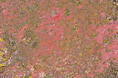 Soyut sanat duvar resmi. Modern, çağdaş sanat geçmişi