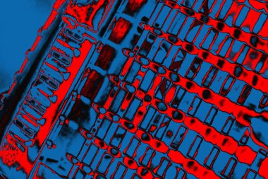 Soyut sanat duvar resmi. Modern, çağdaş sanat geçmişi