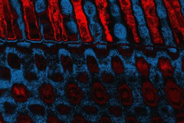 arkaplan olarak soyut renk dokusu, duvar kağıdını kopyala 