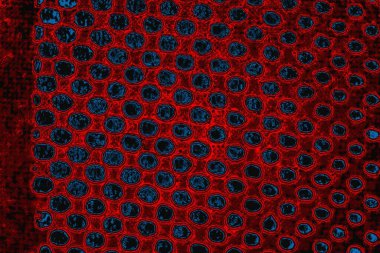 arkaplan olarak soyut renk dokusu, duvar kağıdını kopyala 