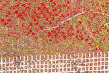 Soyut sanat duvar resmi. Modern, çağdaş sanat geçmişi