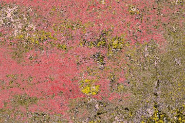 Soyut sanat duvar resmi. Modern, çağdaş sanat geçmişi