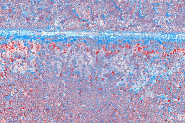 arkaplan olarak soyut renk dokusu, duvar kağıdını kopyala 