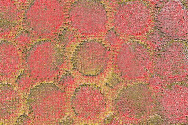 Soyut sanat duvar resmi. Modern, çağdaş sanat geçmişi