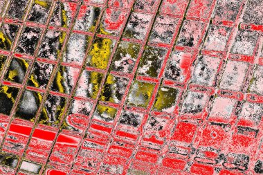 Soyut sanat duvar resmi. Modern, çağdaş sanat geçmişi