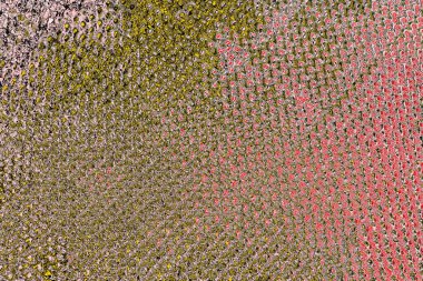 Soyut sanat duvar resmi. Modern, çağdaş sanat geçmişi