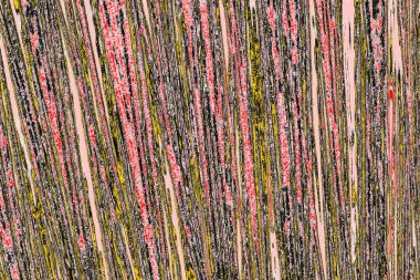 Soyut sanat duvar resmi. Modern, çağdaş sanat geçmişi