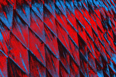 soyut renk dokusu, arkaplan, duvar kağıdını kopyala