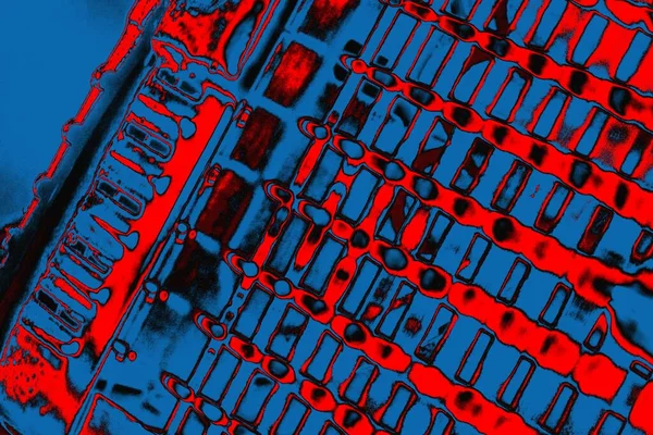 Soyut sanat duvar resmi. Modern, çağdaş sanat geçmişi