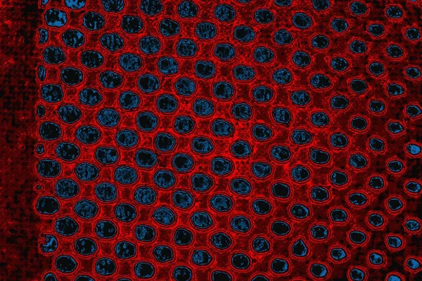 arkaplan olarak soyut renk dokusu, duvar kağıdını kopyala 