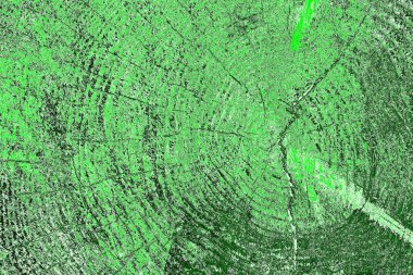 soyut yeşil doku, arkaplan, duvar kağıdını kopyala