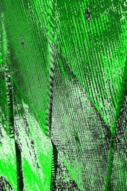 soyut yeşil doku, arkaplan, duvar kağıdını kopyala