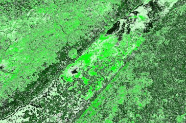 soyut yeşil doku, arkaplan, duvar kağıdını kopyala