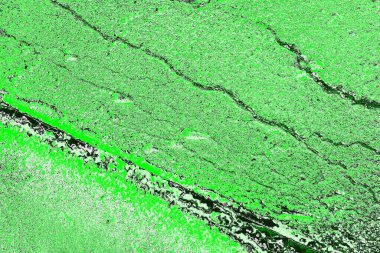 soyut yeşil doku, arkaplan, duvar kağıdını kopyala