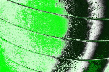 soyut yeşil doku, arkaplan, duvar kağıdını kopyala