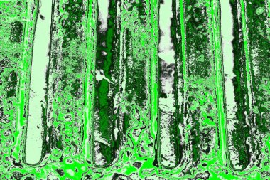 soyut yeşil doku, arkaplan, duvar kağıdını kopyala